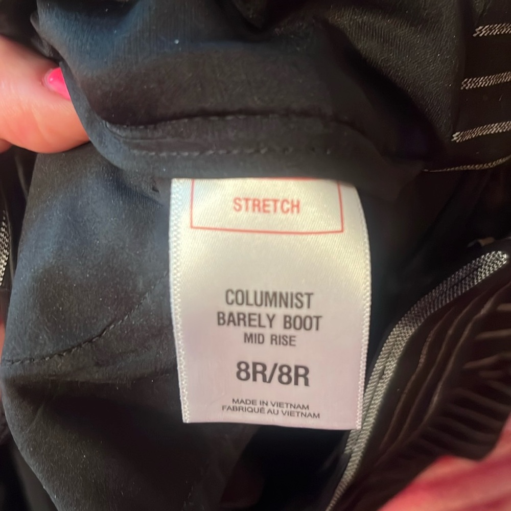 Express size 8 dress pants.